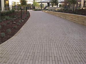 Narrow Modular Pavers 32